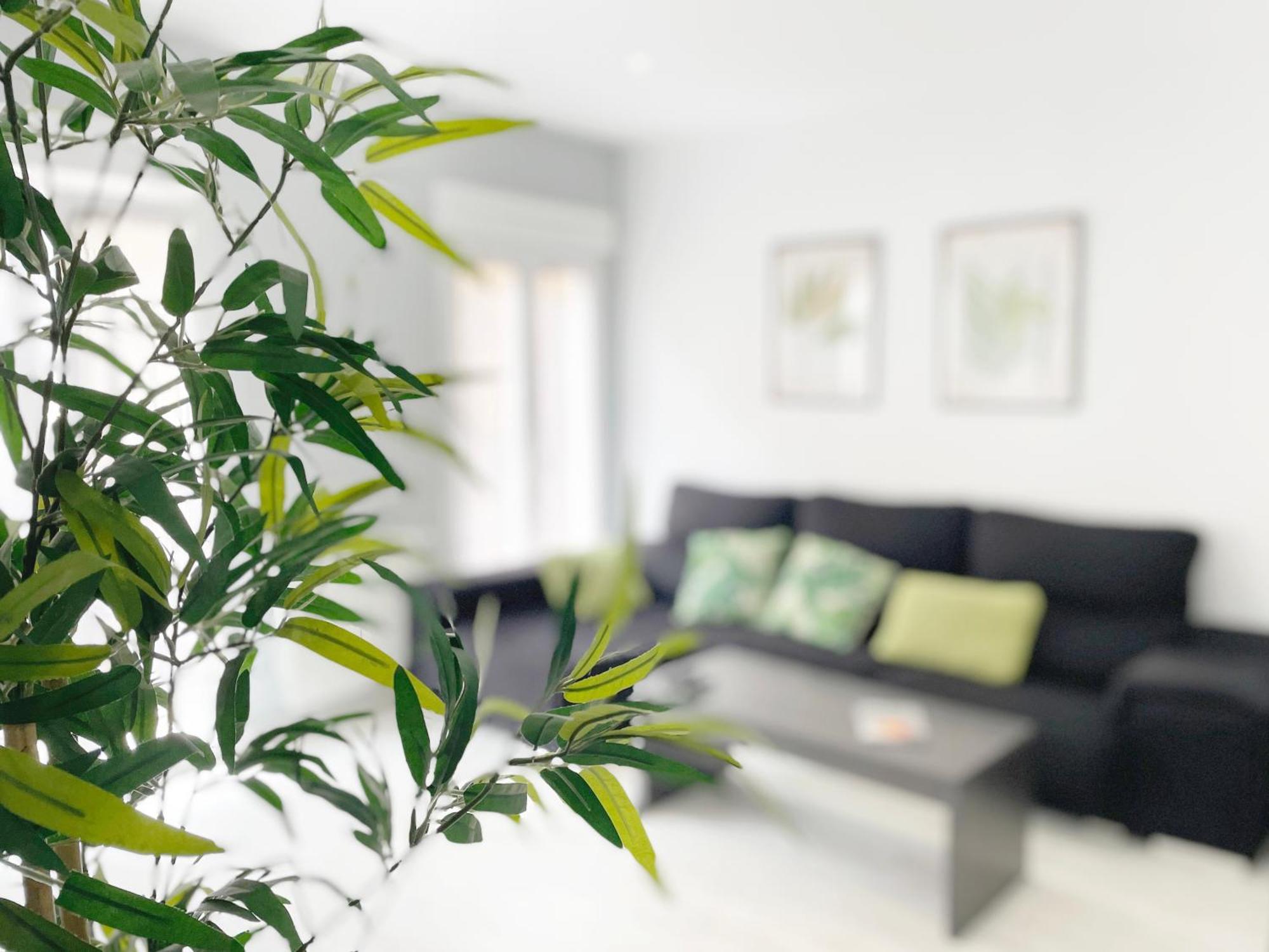 Luminoso Apartamento En Pleno Centro De サンタンデール エクステリア 写真